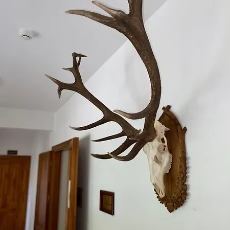 Hotel Vadaszhaz Szelcepuszta