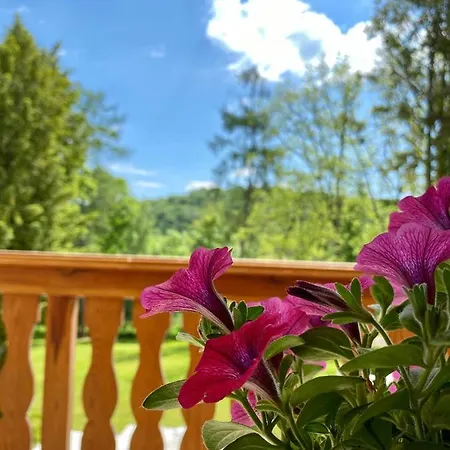 Vadaszhaz 4* Szelcepuszta